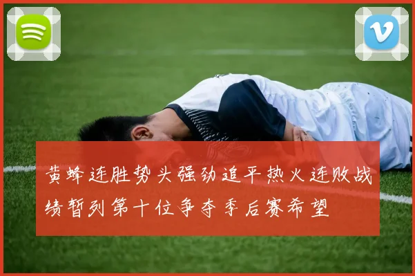 黄蜂连胜势头强劲追平热火连败战绩暂列第十位争夺季后赛希望